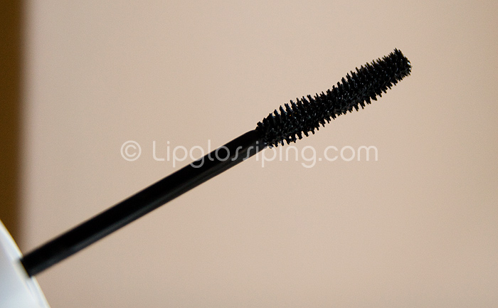 bourjois1001brush