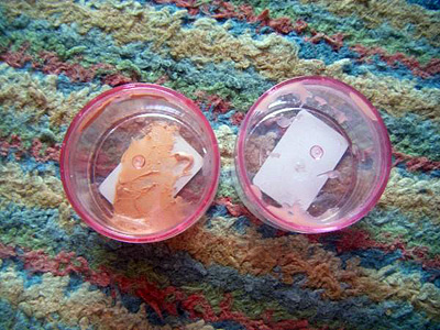 sample-pots