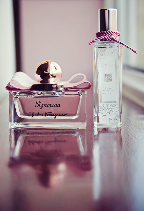 Signorina Perfume Ebay